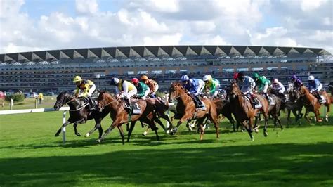 ante post betting royal ascot